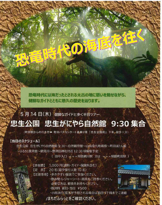 【5月14日（木）恐竜時代の海底を往く】