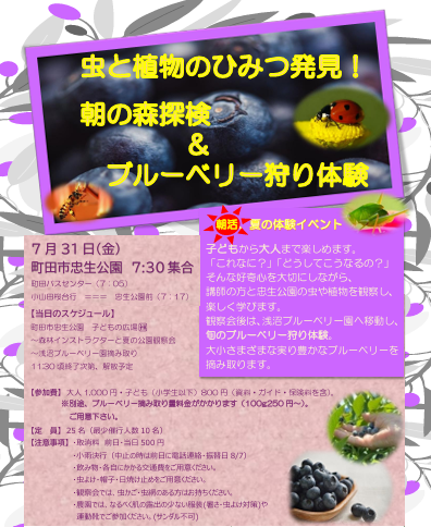子ども（小学生以下）のお申込み【7月31日（金）　虫と植物のひみつ発見！朝の森たんけん＆ブルーベリー狩り】