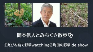 岡本さん道草HPとびら