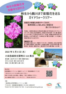 あじさい