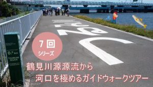 源流3