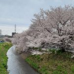 境川源流域から町田市域を 巡り巡って江の島へ向かうウォーク（Season1 全5回）