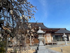 養運寺