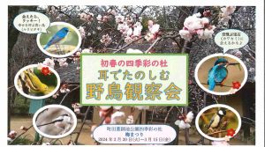野鳥HP用