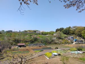 営農団地IMG_20230401_115328