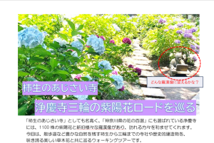 スクリーンショット 2024-05-09 181229