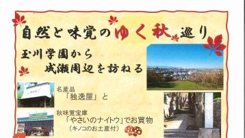 自然と味覚のゆく秋巡り玉川学園から成瀬周辺を訪ねる ～名産品「独逸屋」と秋味覚宝庫「やさいのナイトウ」で お買物（キノコのお土産）～