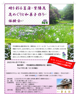 0617時を彩る菖蒲・紫陽花花めぐりと和菓子作り体験会