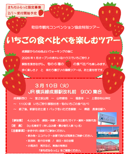 0310チラシ　いちごの食べ比べを楽しむツアー