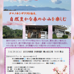 【3月28日（土）タマノホシザクラを辿る、自然豊かな春の小山を楽しむ】