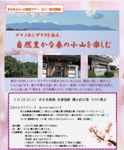 0328タマノホシザクラを辿る、自然豊かな春の小山を楽しむ
