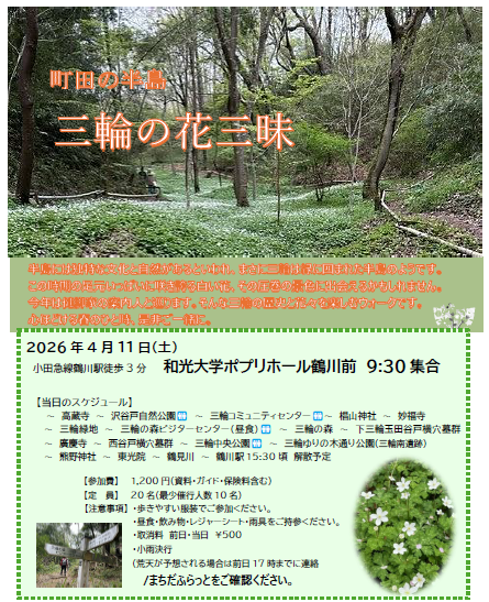 0411町田の半島三輪の花三昧